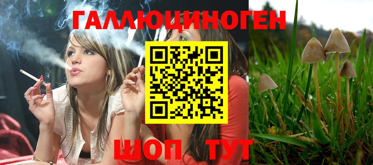 Псилоцибиновые грибы мицелий Чайковский