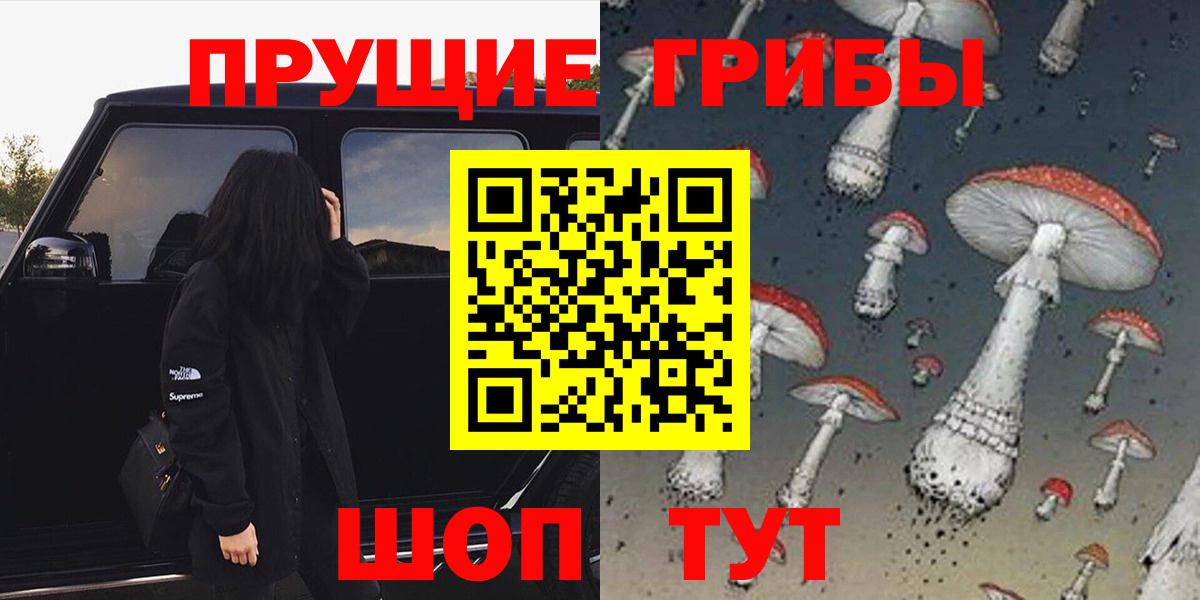 Галлюциногенные грибы Psilocybine cubensis  Вход с VPN  где можно купить   Чайковский 